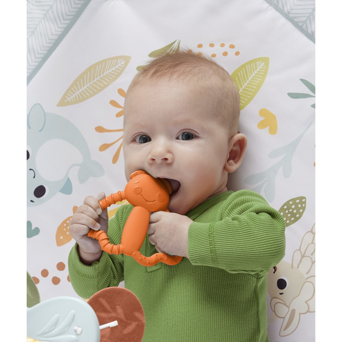 FISHER-PRICE, grickalica za zubiće - Image 5