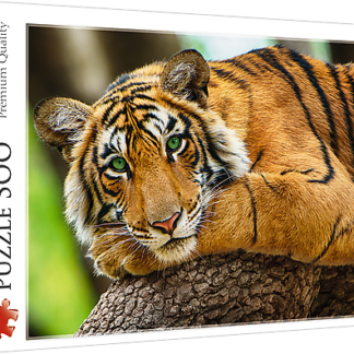TREFL puzzle 500 kom, tigar 37397